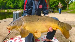 Radical Carp