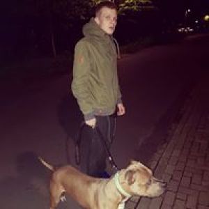 Profilbild