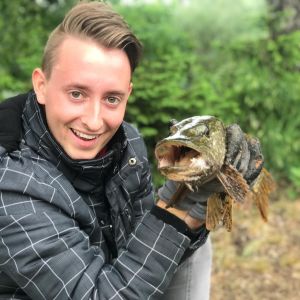Profilbild