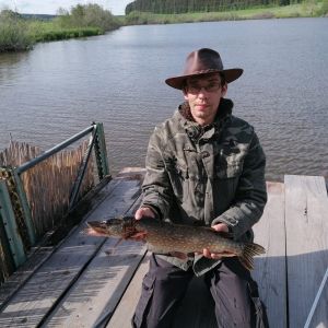 Profilbild