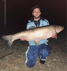 Predator91