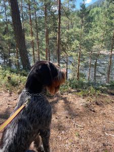 Profilbild