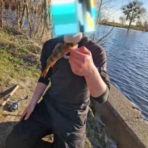 Profilbild