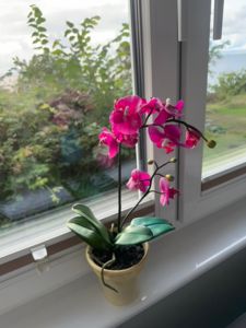 Konstantin geht gerne angeln