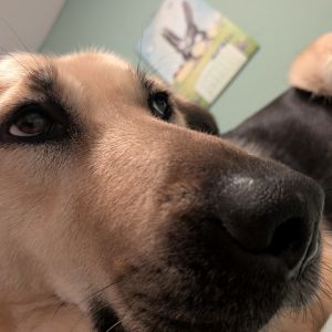 Profilbild