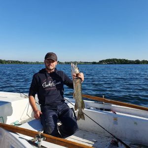 Profilbild
