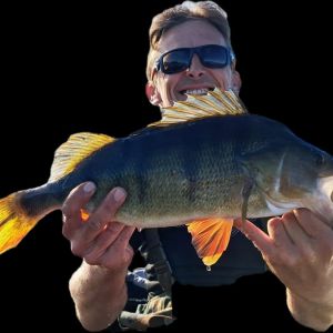 Mark Bass