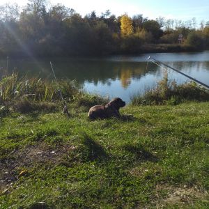 Profilbild