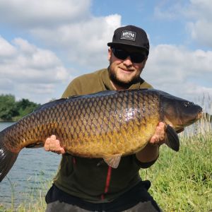 Carp_nature