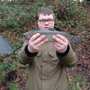 Profilbild