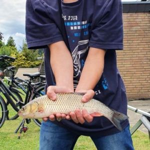 Profilbild