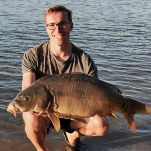 Profilbild