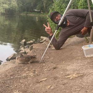 Profilbild