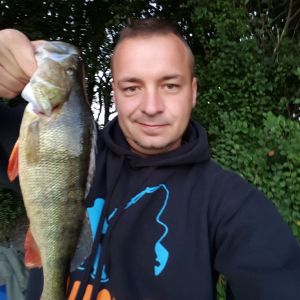 Profilbild