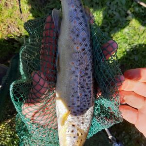 NA Fishing