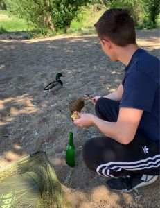 Profilbild