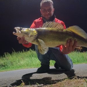 Hardy Zander