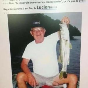 Profilbild