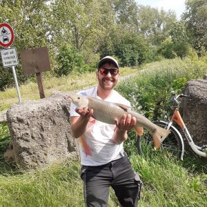 Andreas Schiller DAFV