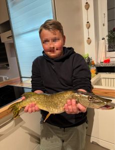 Profilbild