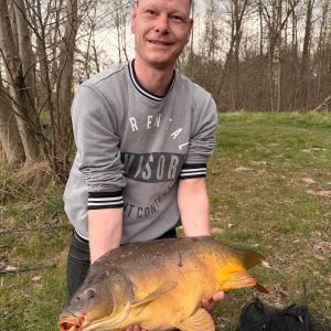 Profilbild