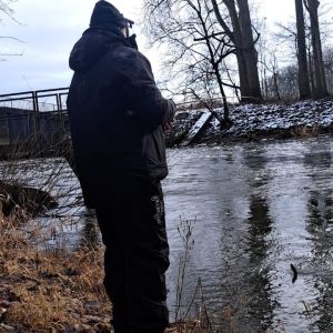 Profilbild