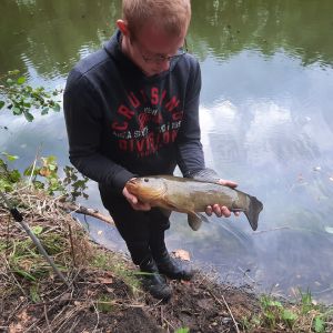 Profilbild