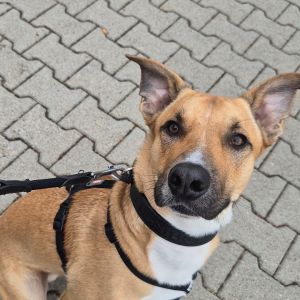 Profilbild