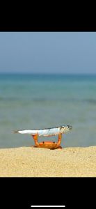 Fishing_KH