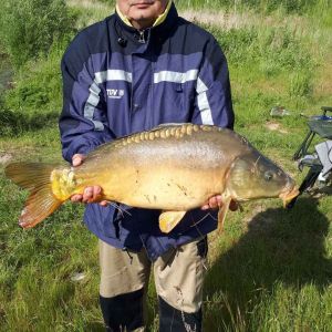Ramomini
