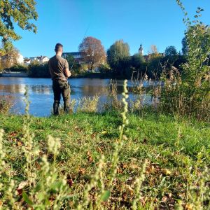 Profilbild