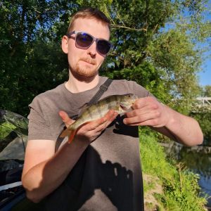 Profilbild