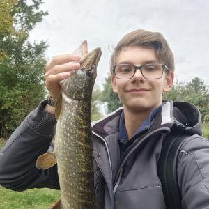 Profilbild