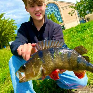 Tim-Stadt-Angler