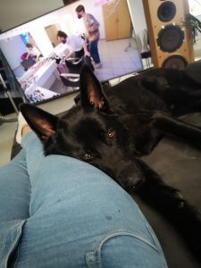 Christian Biederbeck