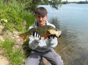 Samuderangler