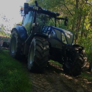 Tizian2501