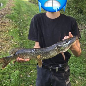 Profilbild