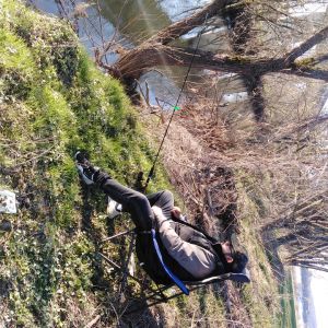 Profilbild