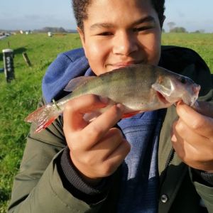 Profilbild