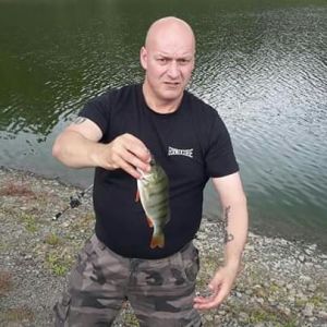Heiko Terherne