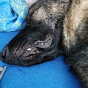 Profilbild
