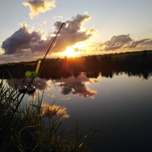 FJanssen