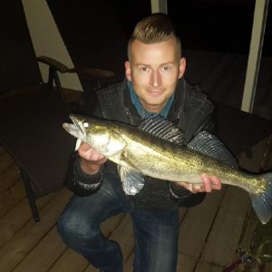 Tim85