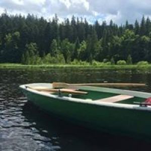 Asv Golli