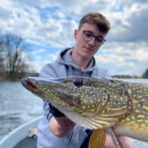 Profilbild