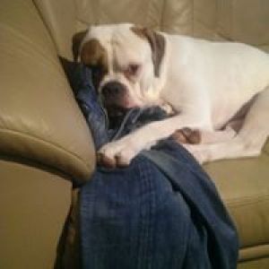 Kai Gilbrecht Young Waller