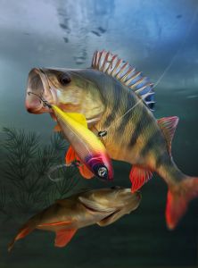 Boss-e.fishing