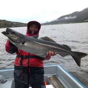 xll-Schwarzangler-llx