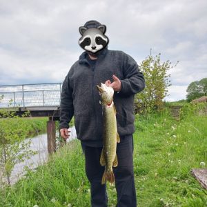 Profilbild
